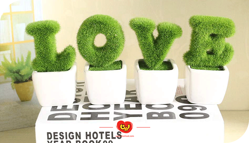 کاشت سبزه خاکشیر برای عید نوروز