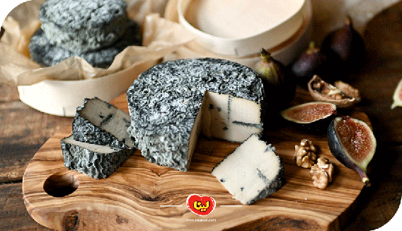 معرفی پنیر بلوچیز  + طرز تهیه بلوچیز