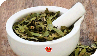 طرز تهیه دمنوش سنا + خواص برگ سنا در درمان یبوست